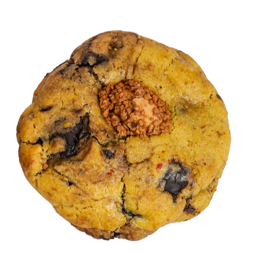 Nutella-filled chocolate chunk cookie
